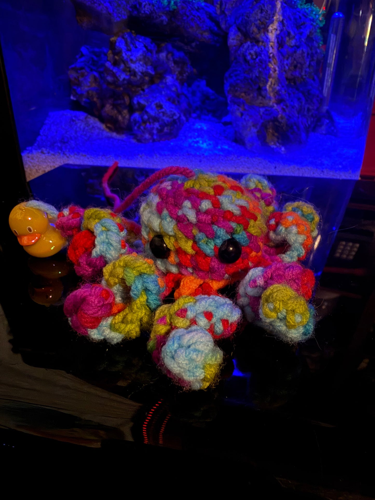 Octopus With King K Chibi Edition