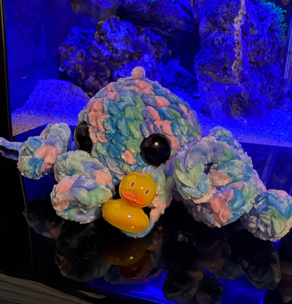 Octopus With King K Chibi Edition