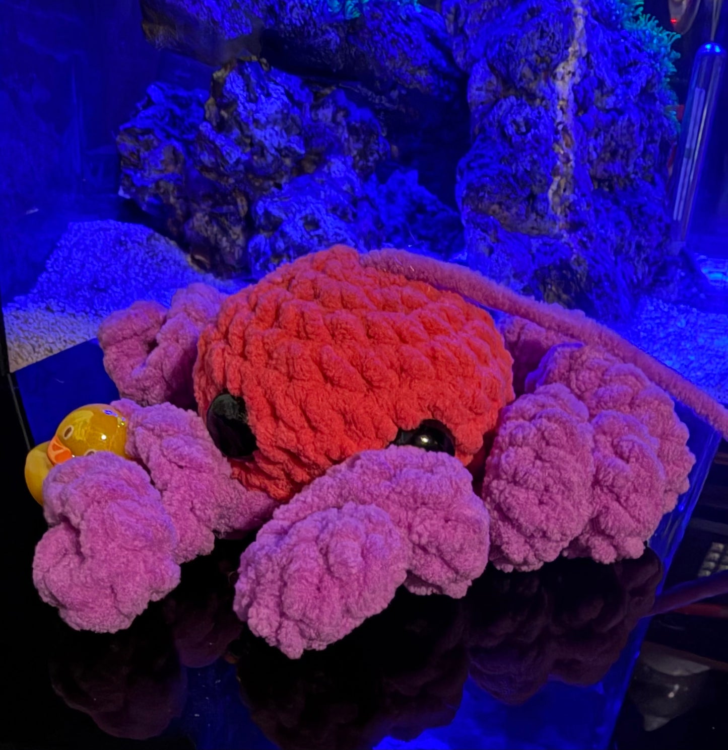 Octopus With King K Chibi Edition